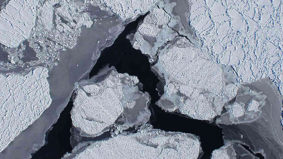 wide: An ice shelf of Antarctica