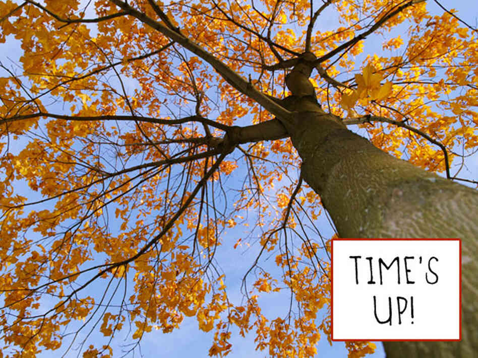 An illustration of a tree telling a leaf its time is up. An illustration of a tree telling a leaf its time is up.