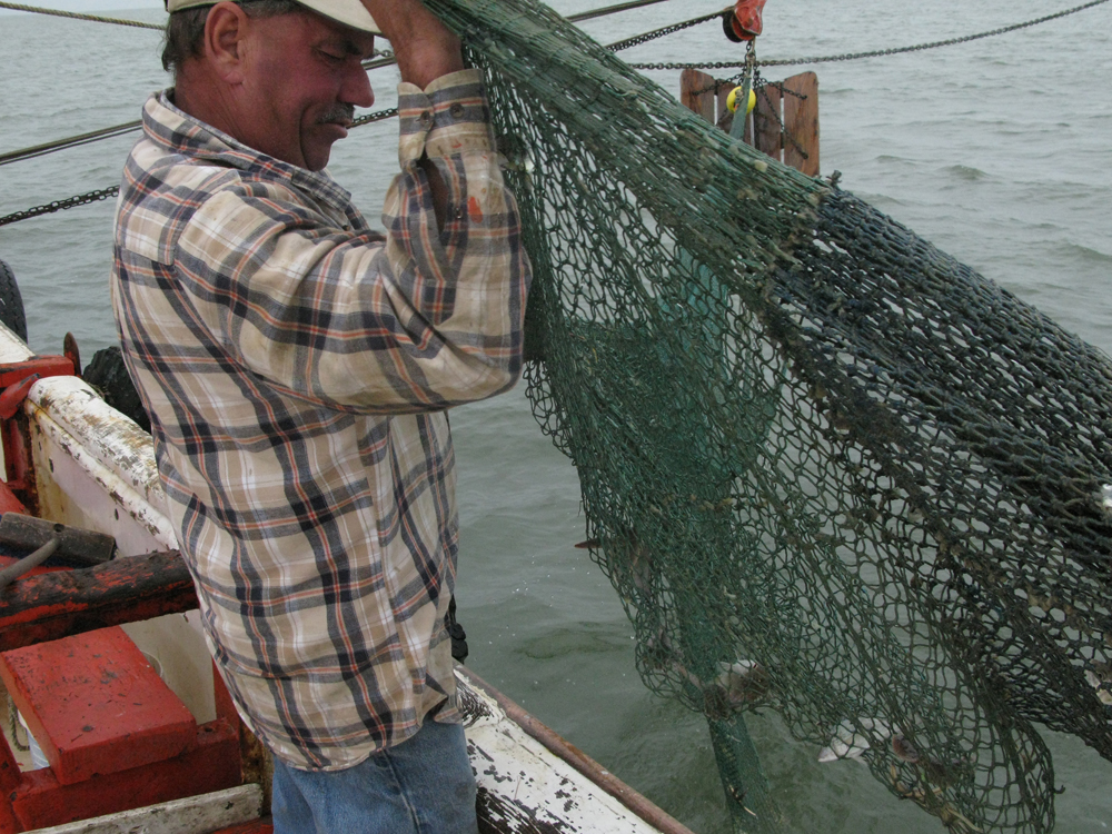 [Interactive:Still Shrimping]