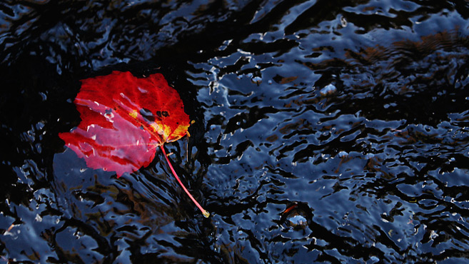 [Slideshow: Picture Show]