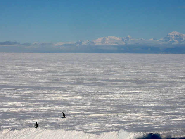 Snow sweeping across the vast ice of Antarctica.