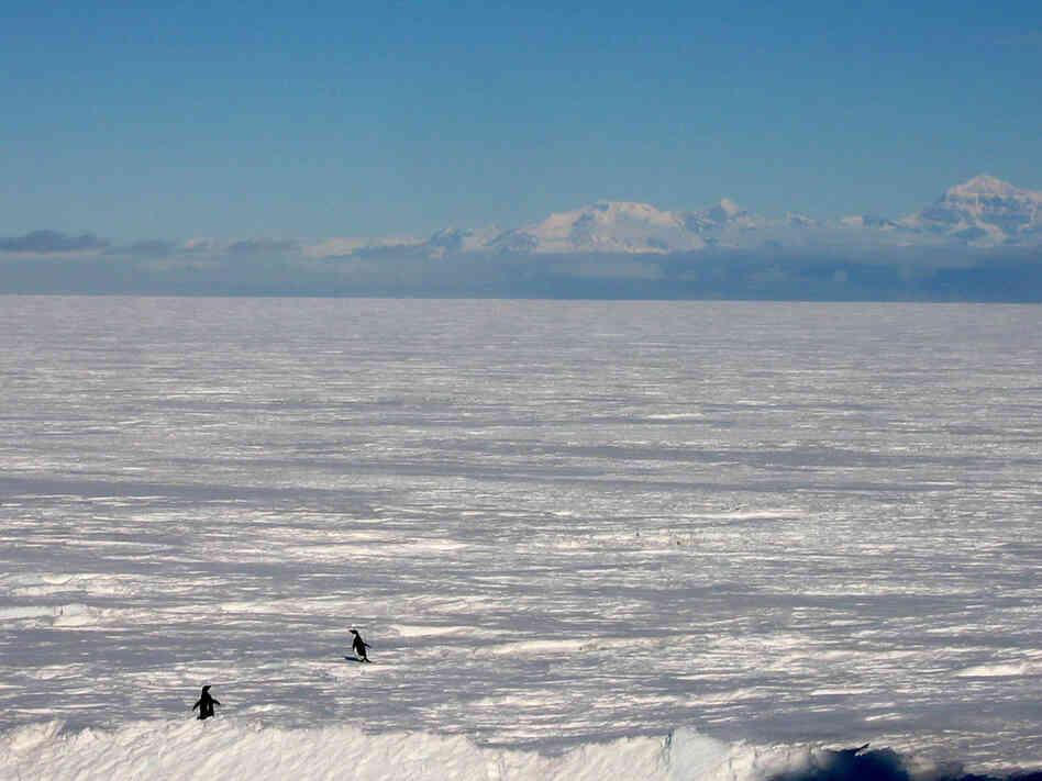 Snow sweeping across the vast ice of Antarctica.