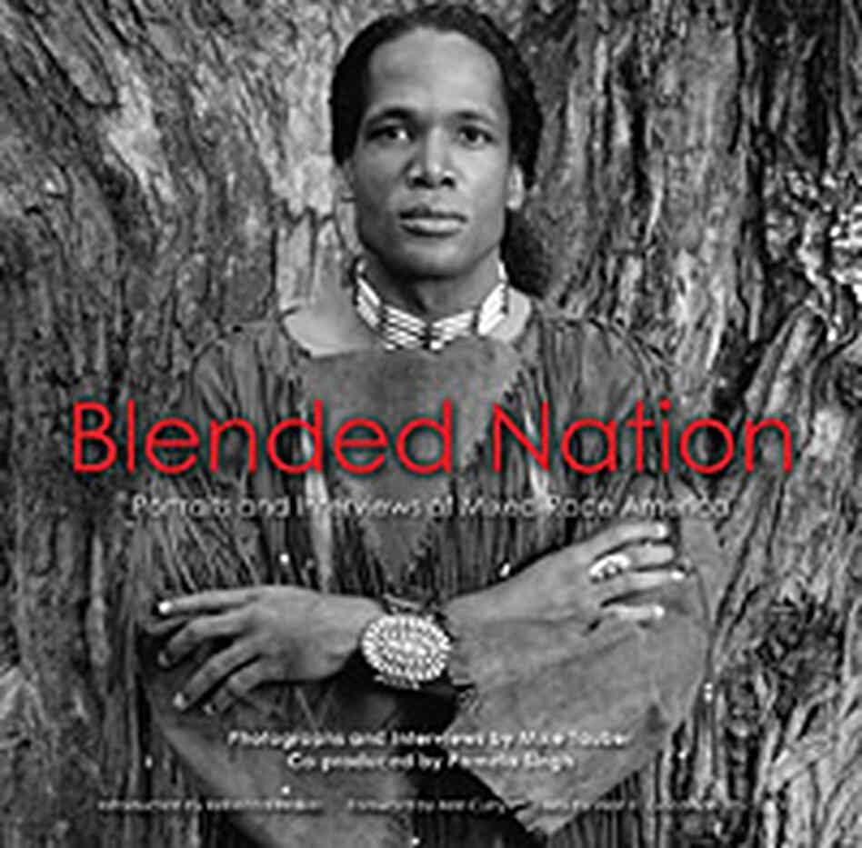 'Blended Nation' by Mike Tauber and Pamela Singh 'Blended Nation' by Mike Tauber and Pamela Singh