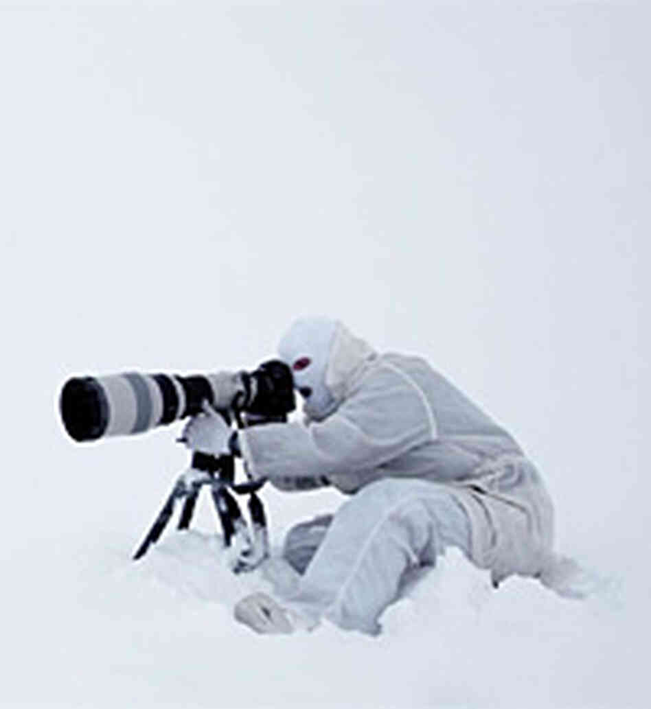 Paul Nicklen Paul Nicklen