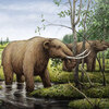 Mastodons eating black ash trees Mastodons eating black ash trees