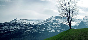 View from the window of a moving train during a trip through the Swiss Alps