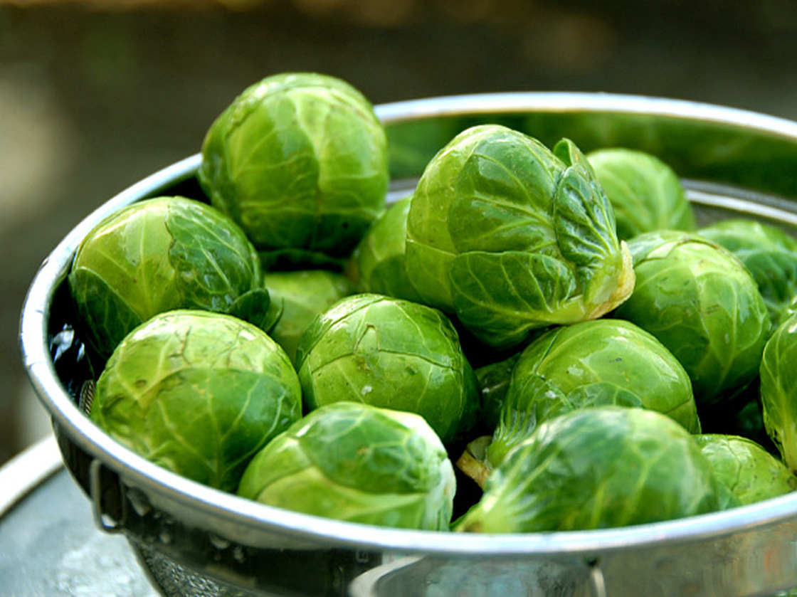 Brussels sprouts WIDE