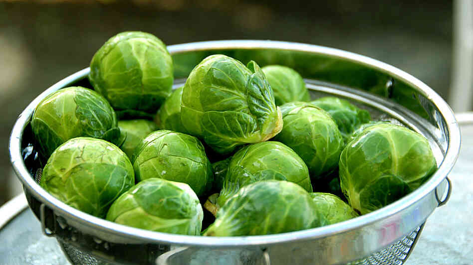 Brussels sprouts WIDE