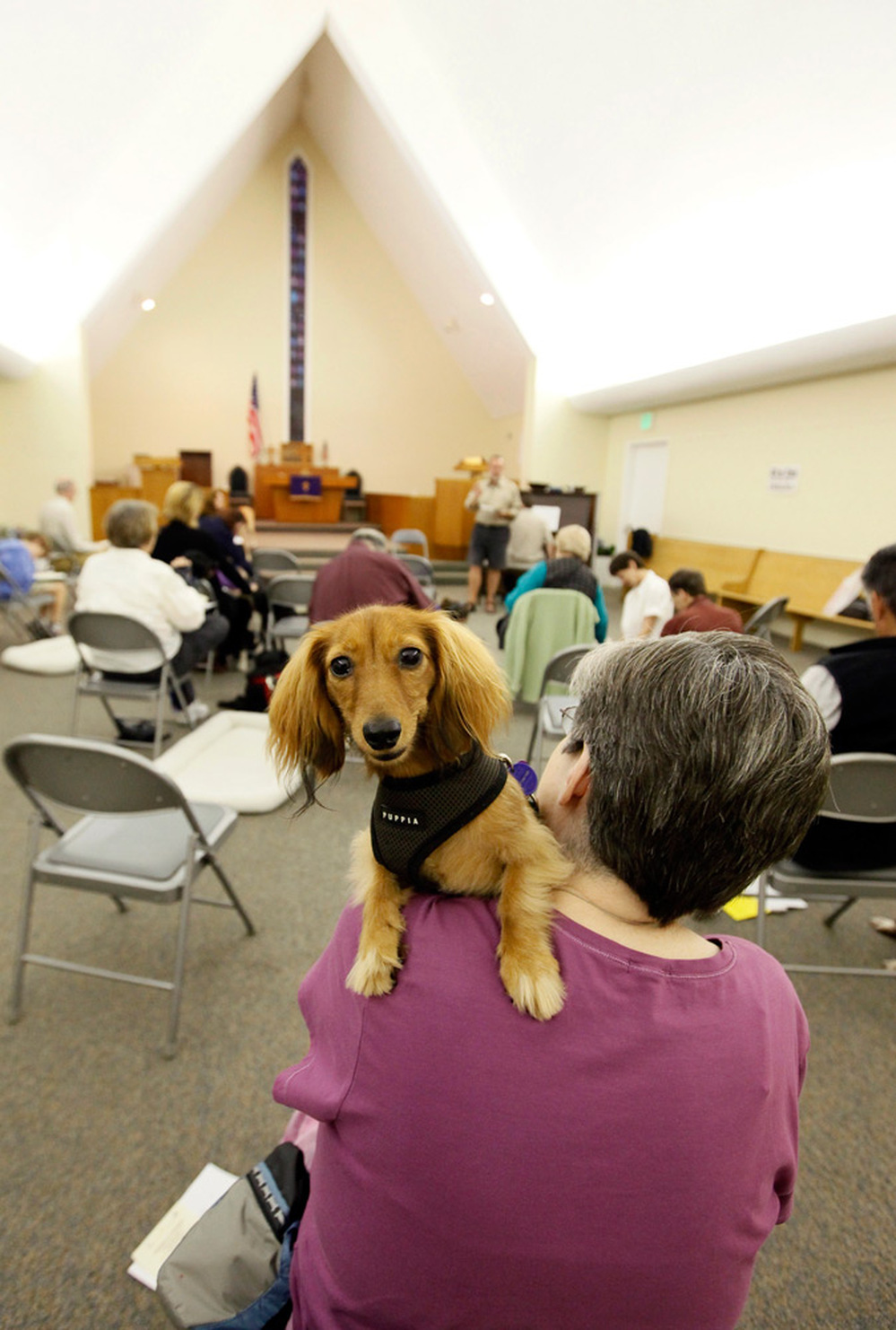 Donna Merz and her dog, Gracie