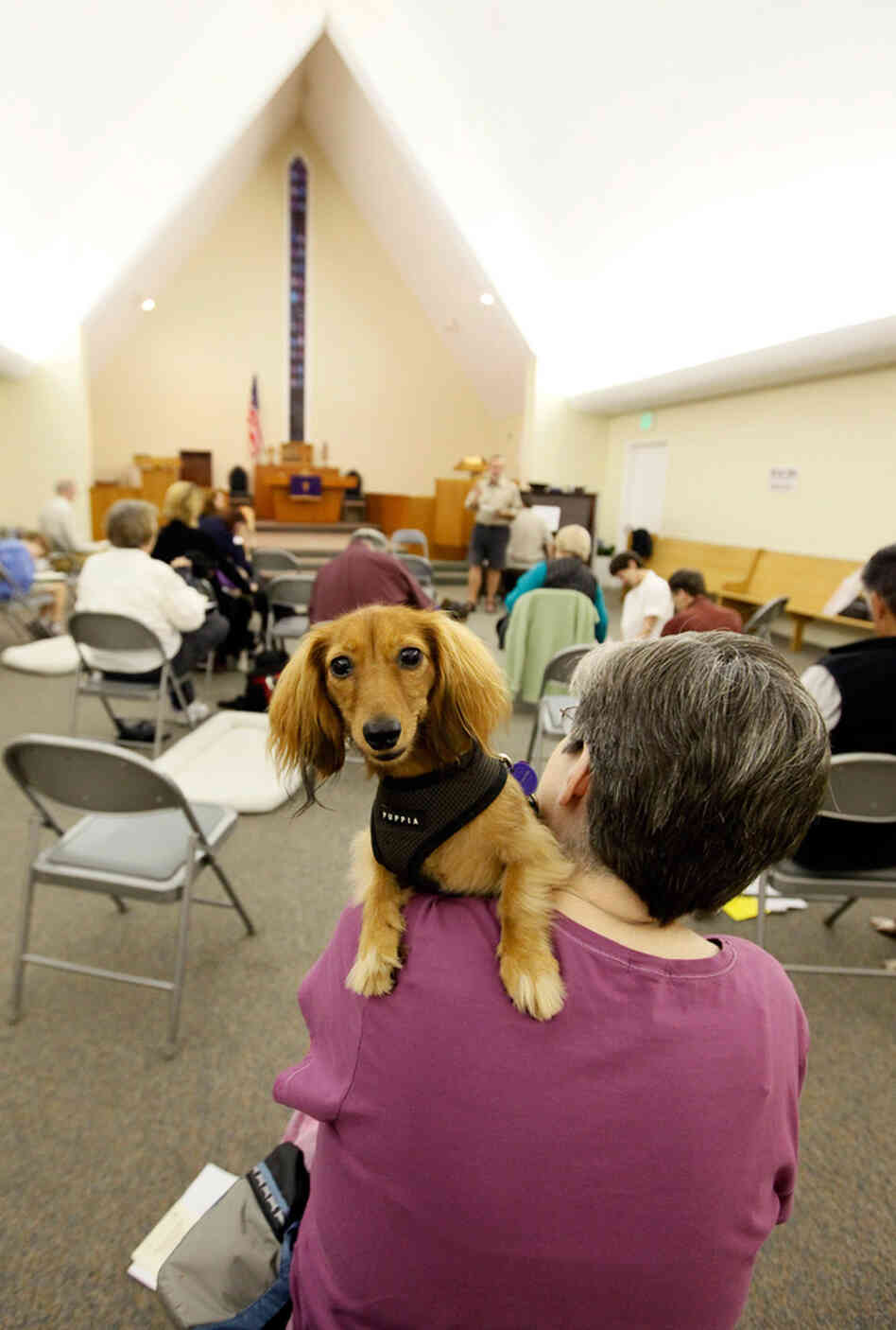 Donna Merz and her dog, Gracie