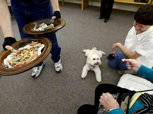 The collection plate and a plate of dog treats makes the rounds.