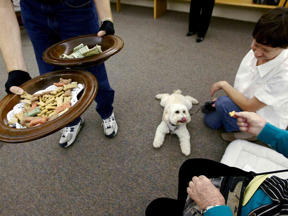 The collection plate and a plate of dog treats makes the rounds.