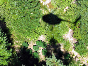 The Campaign Against Marijuana Planting, or CAMP, uses helicopters to spot marijuana grown illegally