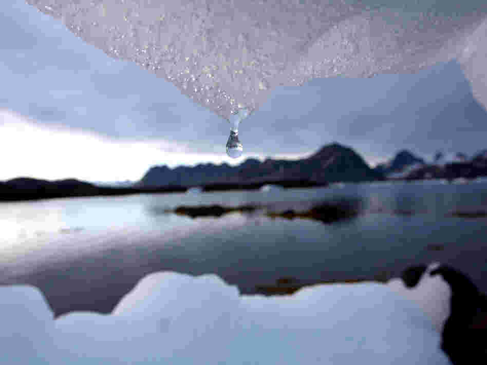 An iceberg melts in Kulusuk, Greenland.