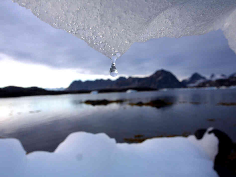 An iceberg melts in Kulusuk, Greenland.