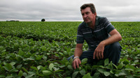 Until recently, Darci Eichelt planted soybeans across his entire 6,000-acre farm outside Lucas do Rio Verde in central Brazil. Now, Eichelt is planting native vegetation that will eventually cover about one-third of his property. He says he began to notice that the natural water supply had been affected by clear-cutting — and he understood that he had cleared more than he should have.