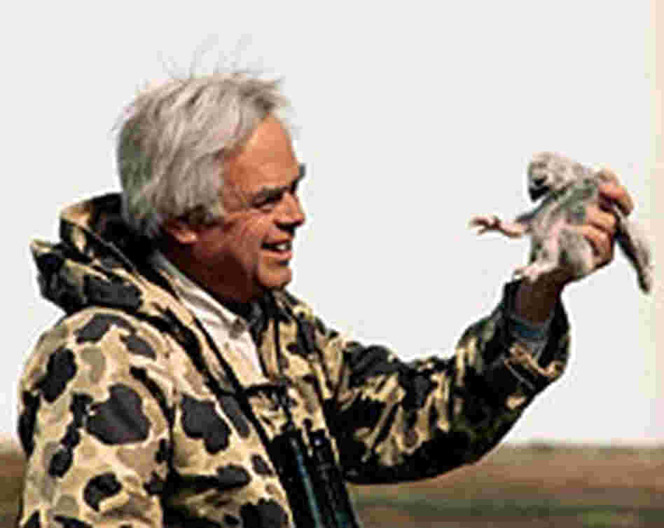 Photographer Theodore Cross Photographer Theodore Cross