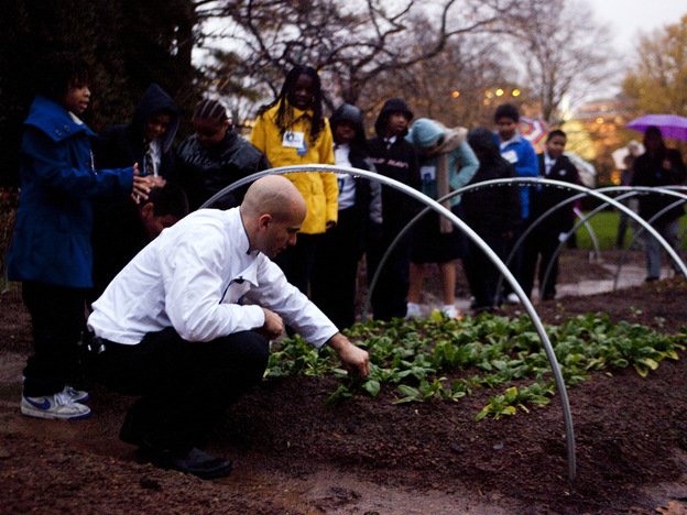 Sam Kass, the assistant White House chef, picks spinach from the garden.