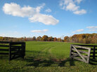 Joan Graham's farmland Joan Graham's farmland