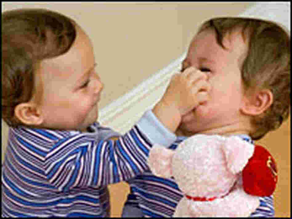 (O) Twin toddlers fight over a toy. (O) Twin toddlers fight over a toy.