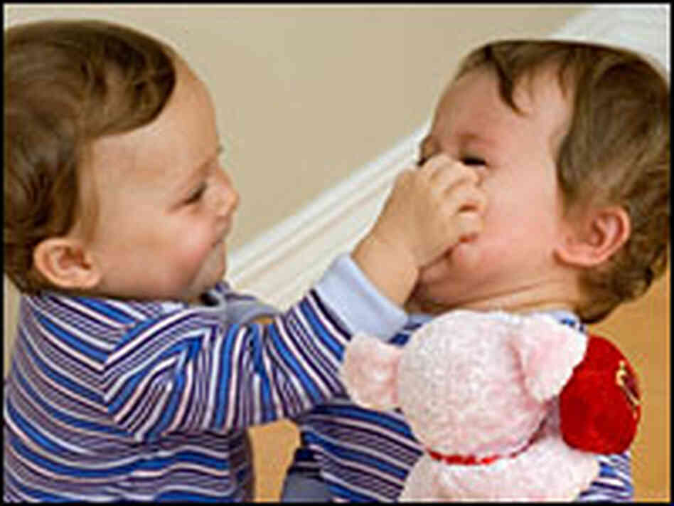 (O) Twin toddlers fight over a toy. (O) Twin toddlers fight over a toy.