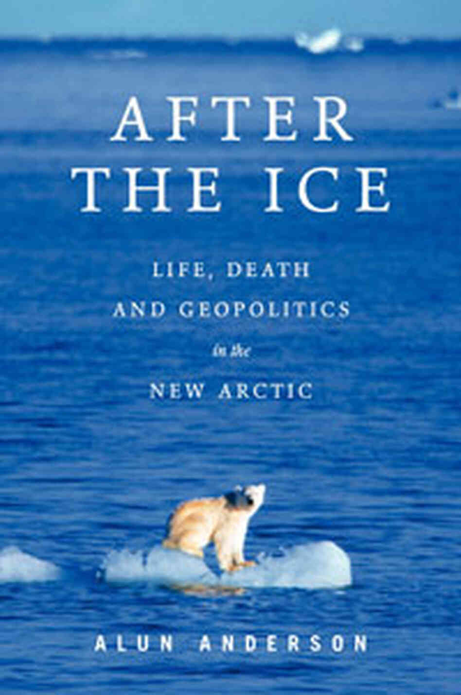 After the Ice book cover After the Ice book cover