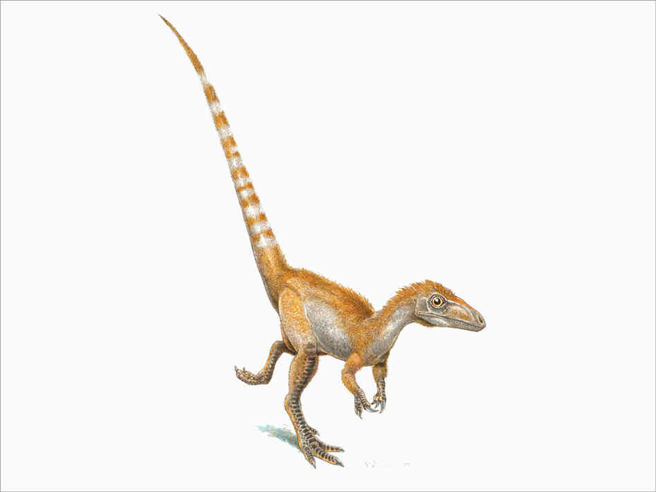 An artist's rendition of a single Sinosauropteryx