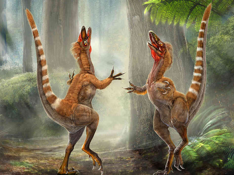 Artist rendition of two Sinosauropteryx