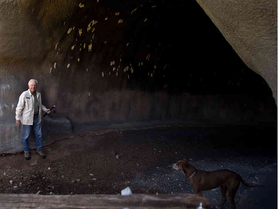 David Bamberger inspects the entrance to the bat cave he built in 1998.