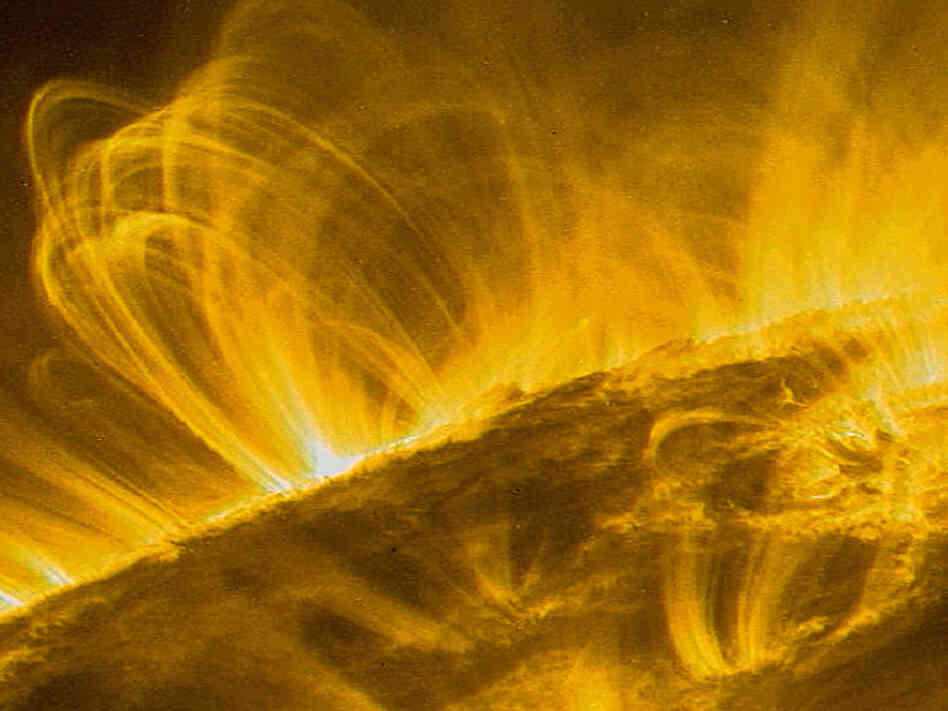 The sun's coronal loops are captured in a photo by NASA's TRACE spacecraft.