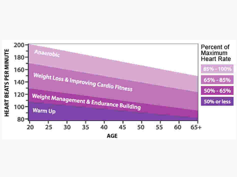 A heart rate chart A heart rate chart