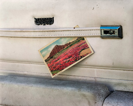 [Slideshow: Picture Show]