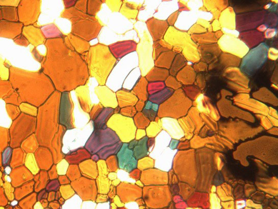 A thin (0.1 mm) layer of water that is frozen and examined under polarized light.