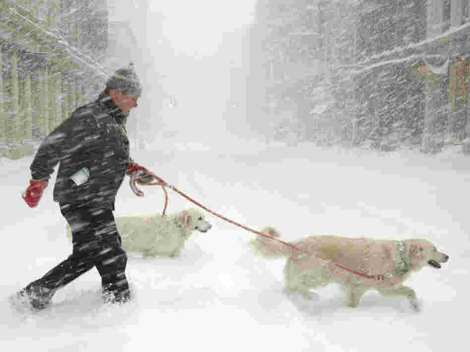 Snowstorm2