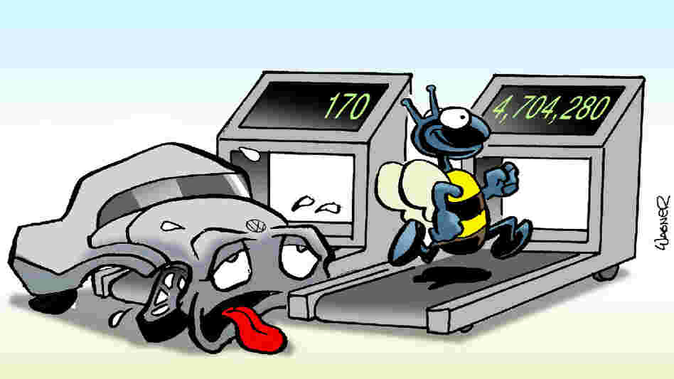 Bee on treadmill Bee on treadmill