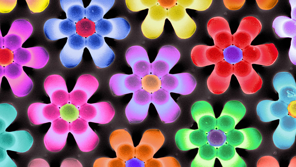 Slideshow