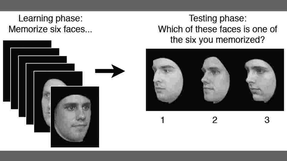 Facial Recognition Test Facial Recognition Test