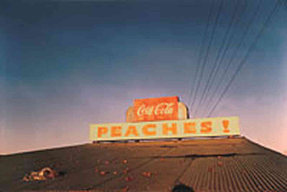 Peaches, Near Greenville, Miss., circa 1973 (William Eggleston) Peaches, Near Greenville, Miss., circa 1973 (William Eggleston)