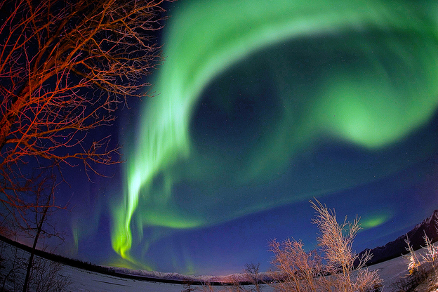 The northern lights dance over the Knik River near Palmer, Alaska.