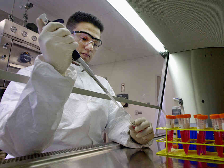 A technician collects re-engineered viruses, called “vectors.” A technician collects re-engineered viruses, called “vectors.”