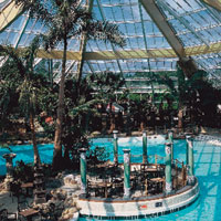 The Subtropical Swimming Paradise of Elveden Forest located in Suffolk, U.K