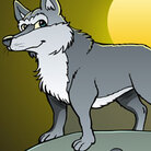 Wolf by moonlight Wolf by moonlight