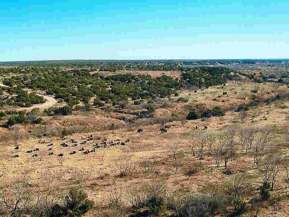 View of the QB Ranch in West Texas