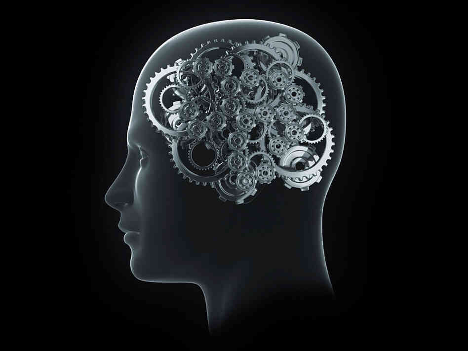 An artist's rendering of cogs in a human brain.