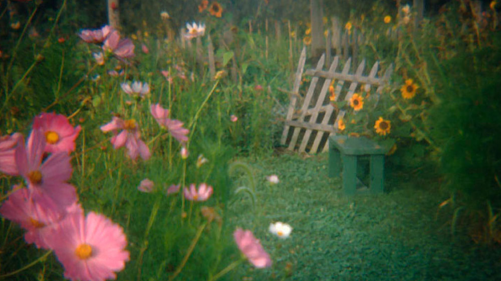 [Slideshow: Picture Show]