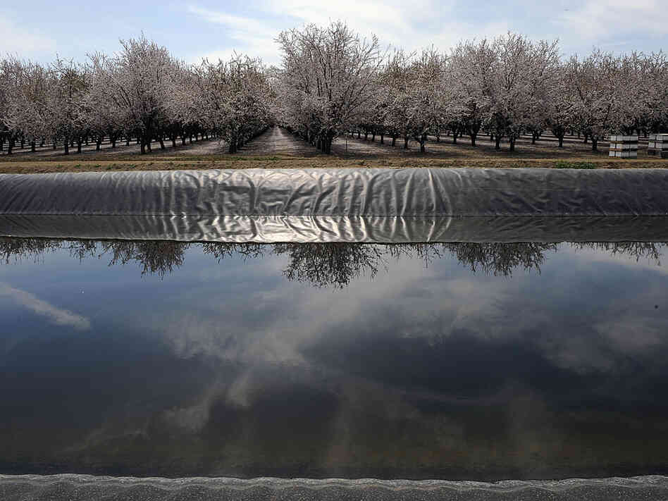 California's San Joaquin Valley
