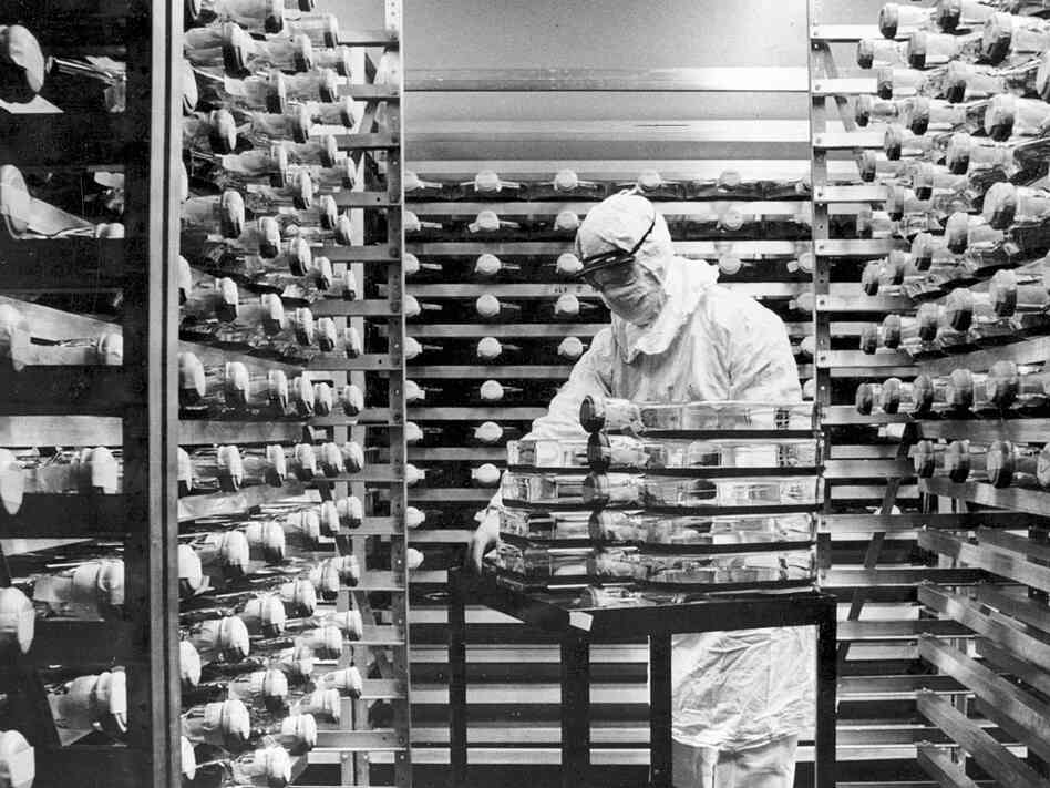 A technician works in a virus laboratory in 1963.