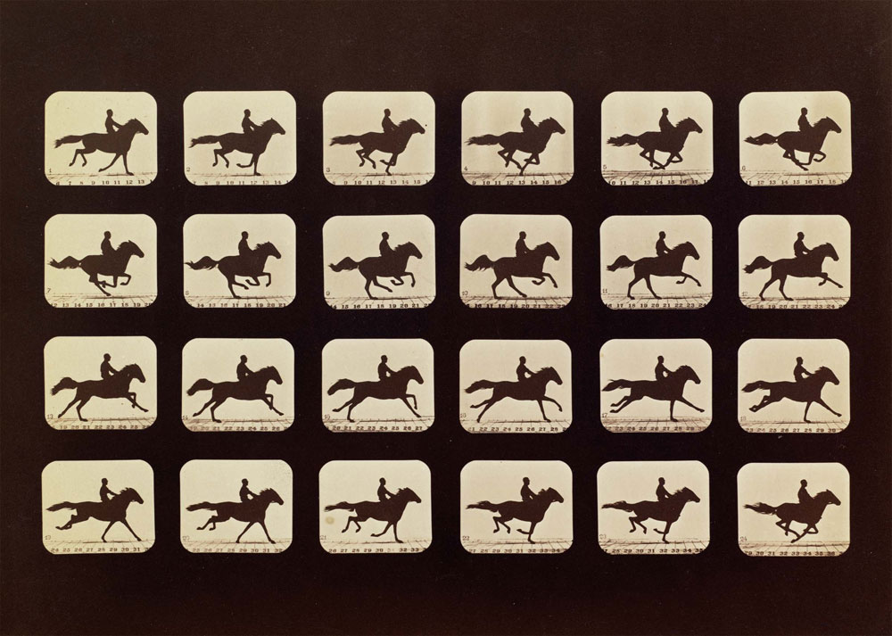 [Interactive:Eadweard Muybridge's Work]