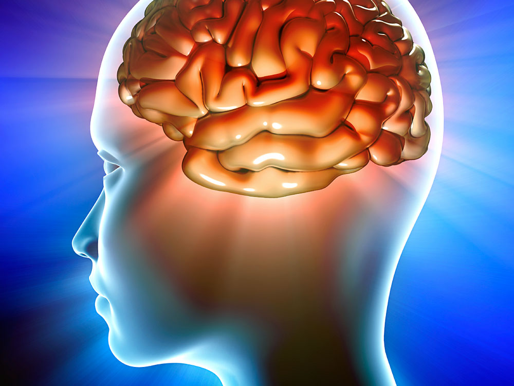 Illustration of human brain with figure
