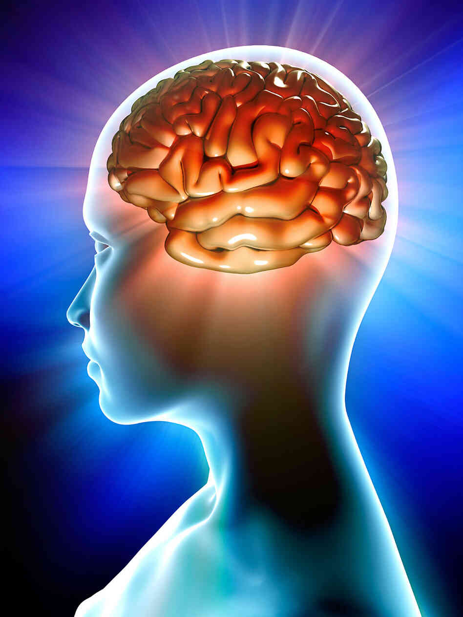 Illustration of human brain with figure